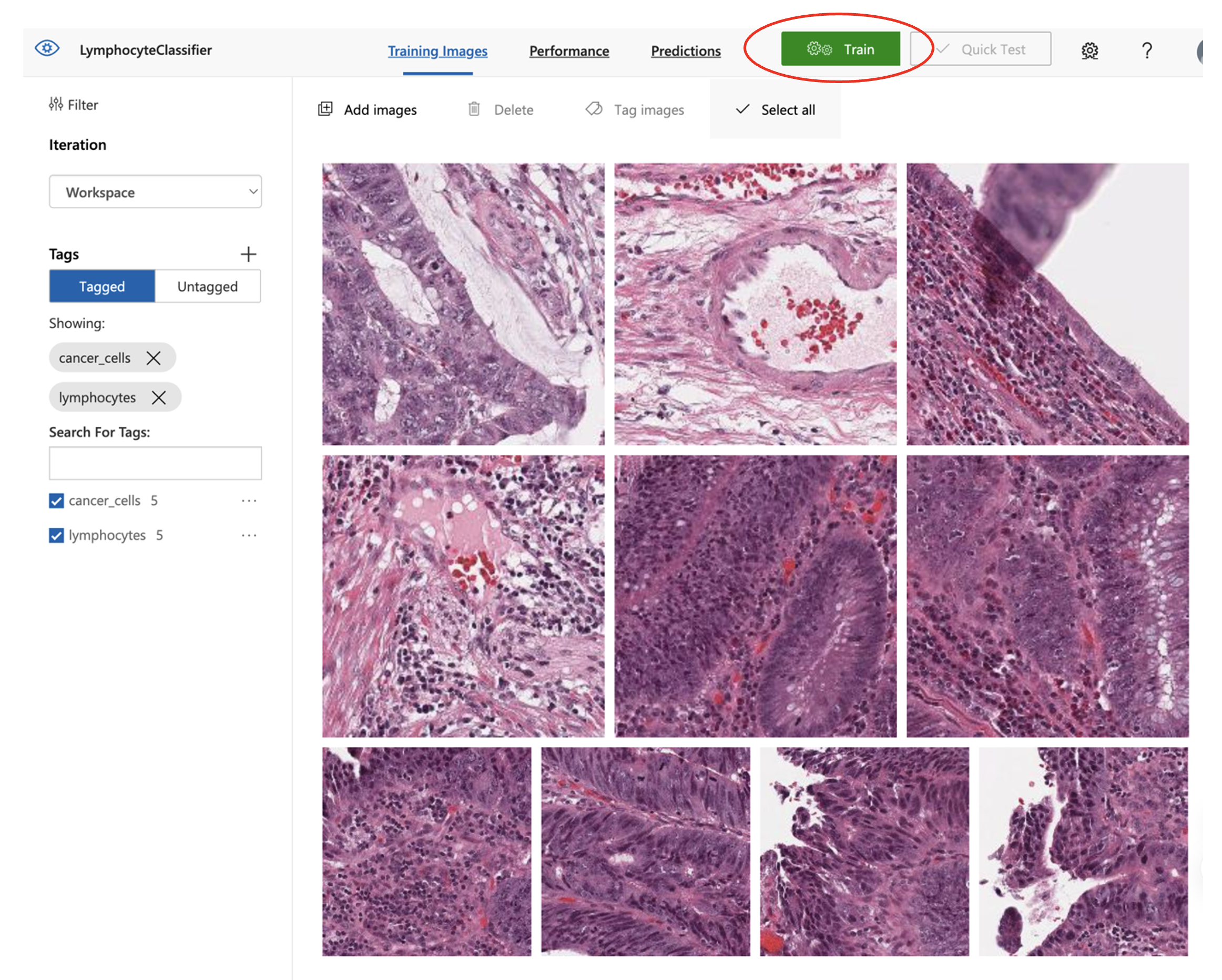 Custom Vision training interface showing tagged images and the Train button highlighted