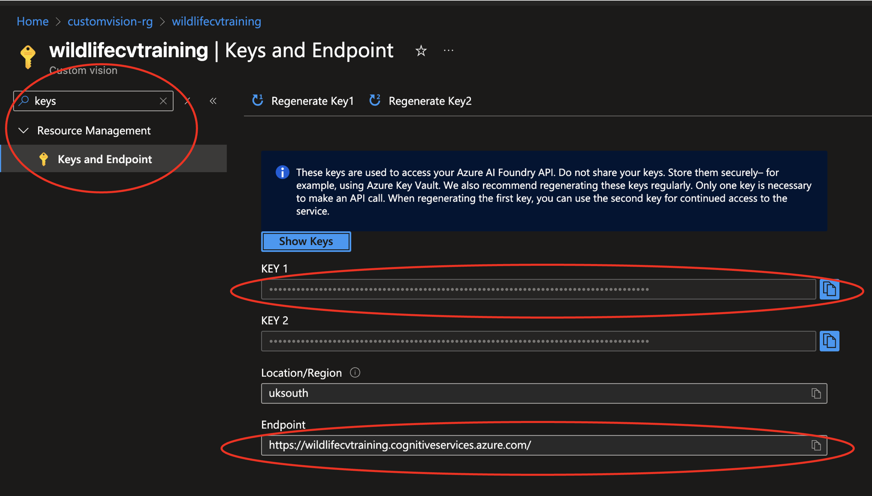 Custom Vision training resource showing keys and endpoint