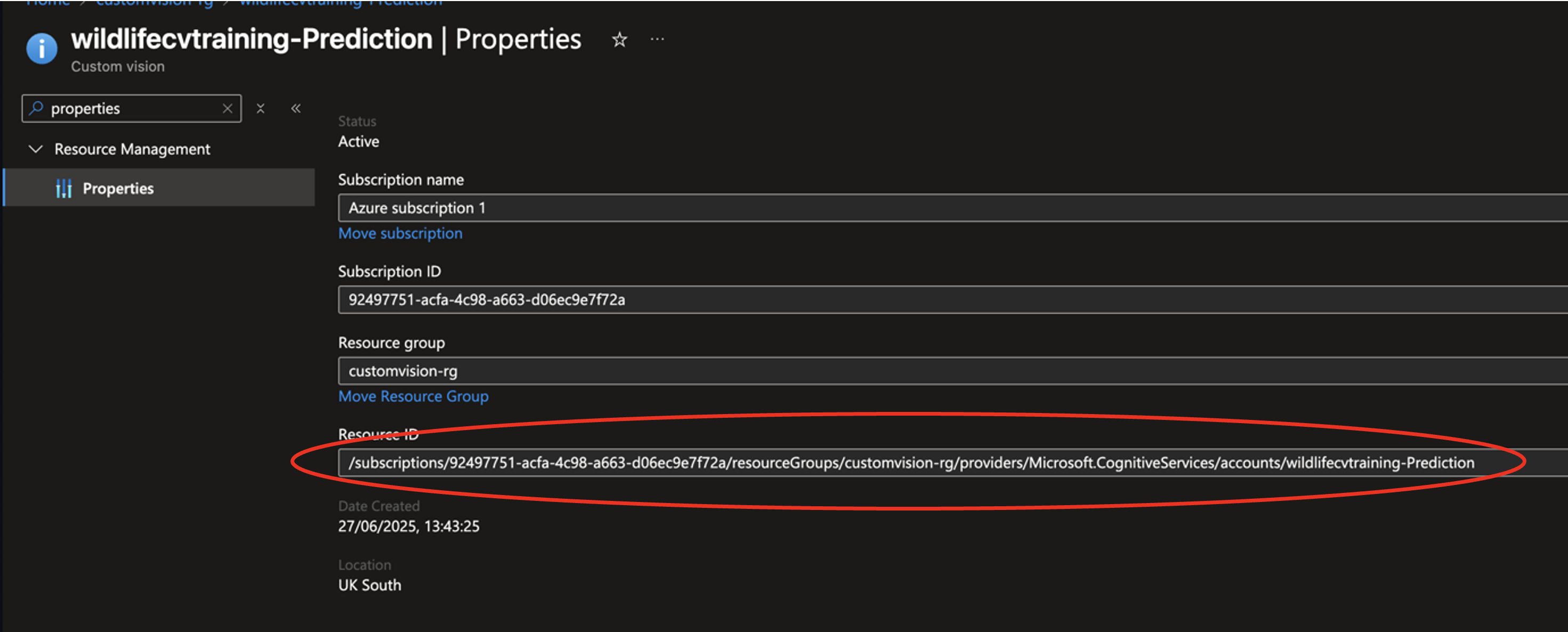 Custom Vision prediction resource properties showing Resource ID